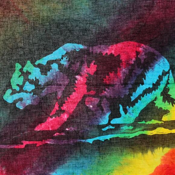 Bandana Handcrafted California Bear SoCal Hippie Rainbow Colorful Head Cover - Picture 3 of 3